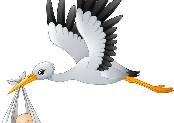 Un aiuto dalla Natura per la fertilità