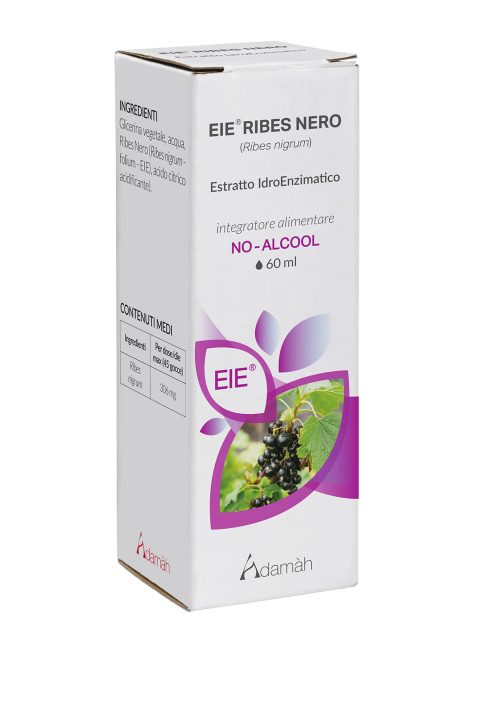Ribes Nero Estratto Idroenzimatico 60 ml Adamah