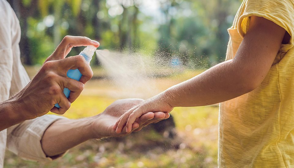 Repellenti naturali contro le zanzare