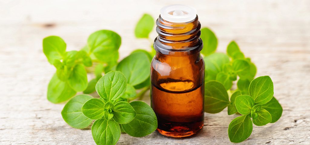 Olio essenziale di Origano
