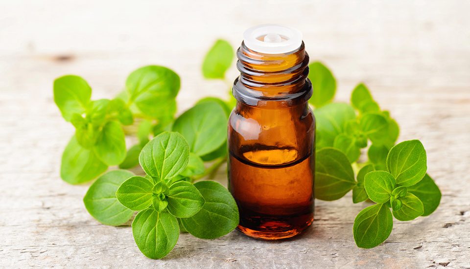 Olio essenziale di Origano