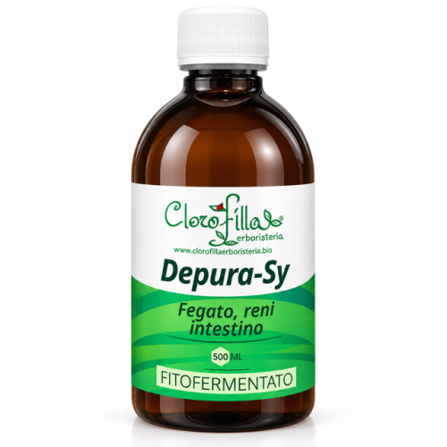 DepuraSy Fitofermentato 500 ml Fegato Reni Intestino