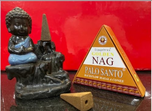 Incenso BackFlow Palo Santo 10 Coni