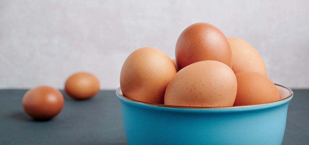 Collagene e guscio d'uovo