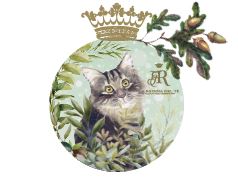 Infuso Amici del Bosco Gatto 80 grammi