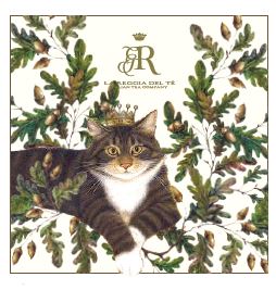 Racconti del Bosco Gatto 5 Bustine