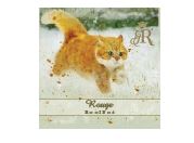 Tè Rooibos Rouge Filtro singolo