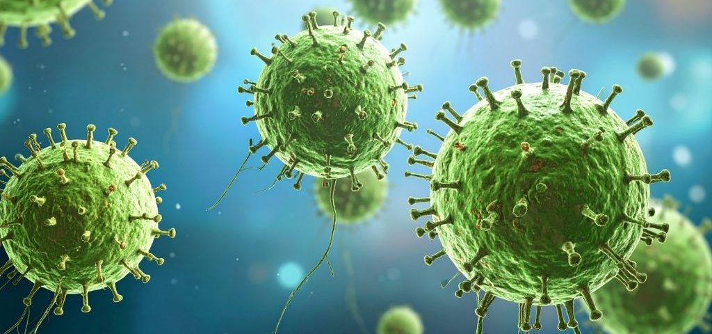 rinforzare le difese immunitarie