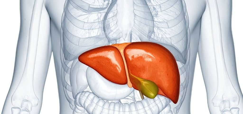 Come depurare il fegato