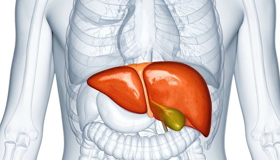 Come depurare il fegato
