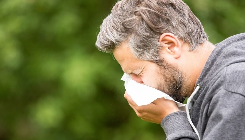 Allergia alle graminacee