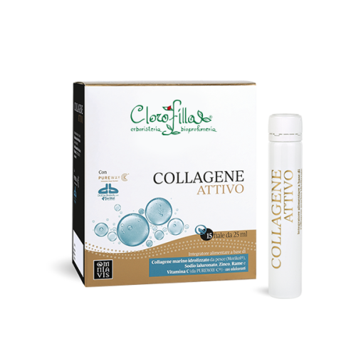 Collagene Attivo | Clorofillaerboristeria