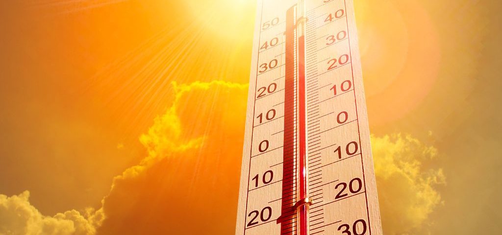 Probiotici e caldo: come proteggere l'intestino in estate