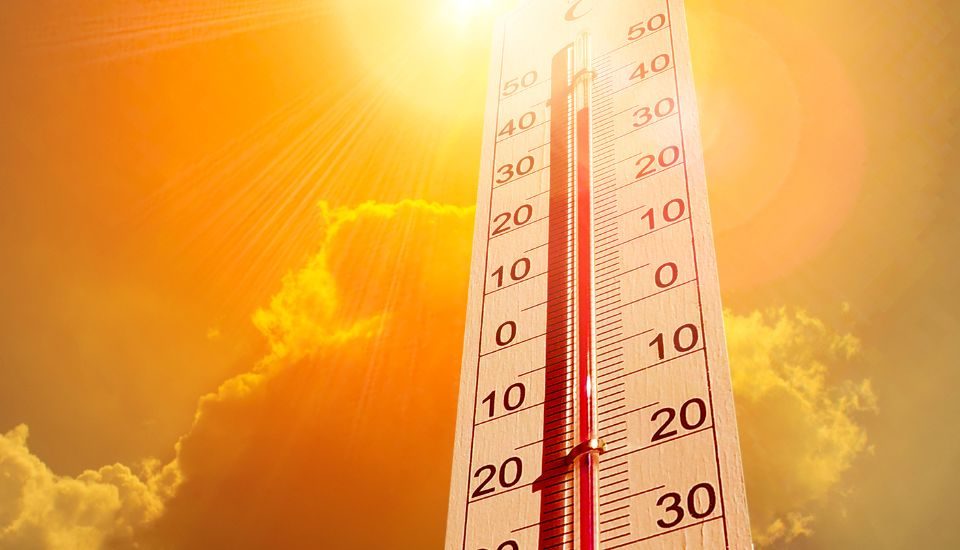 Probiotici e caldo: come proteggere l'intestino in estate